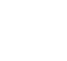 Insightful Logo Center White