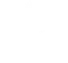 Insightful Logo Center White